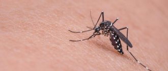 10 гаджетов для борьбы с комарами: как они работают, и какие стоит выбрать