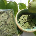 9 ways to get rid of bud mites on currants