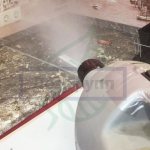 Sewer butterfly: how to get rid of it