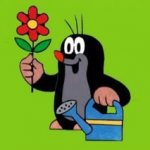 борьба с кротами. Народные способы