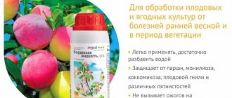 Бордосская смесь преимущества