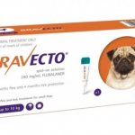 Bravecto for dogs - instructions, effectiveness, advantages, disadvantages
