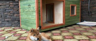 comfort-kennel-for-Akita-inu-outdoor