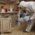 Чего боятся клопы