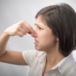 Что делать если в доме появился мышиный запах