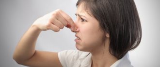 Что делать если в доме появился мышиный запах