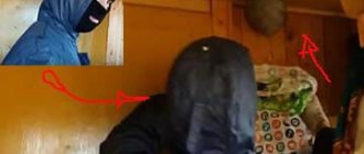 что одеть, чтобы не покусали осы