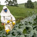 Что такое дезинсекция и в каких случаях она нужна?