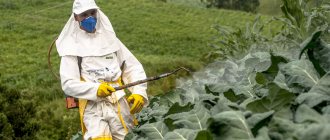 What is disinfestation and in what cases is it needed?
