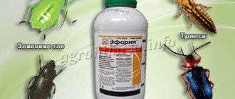 Ephoria will rid grain crops of these pests