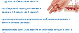 Фото с описанием сыпи при чесотке