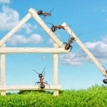 Гель от муравьев