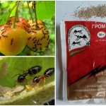 гром 2 от мошек инструкция