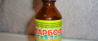 insecticide against insects on plants