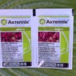 insecticides for flowers