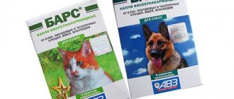 Insectoacaricidal drops against fleas and ticks Bars