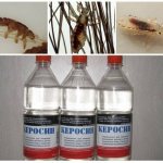 Как использовать керосин от вшей и гнид у детей, пропорции и сколько держать