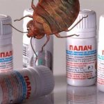 Как использовать средство от клопов Палач, состав