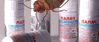 How to use the remedy for bedbugs Executioner, composition