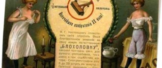 как избавиться от блох и клопов