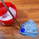 Как избавиться от домашних клопов: лучшие химические препараты