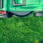 Как избавиться от клещей на дачном участке?