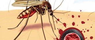 what blood type do mosquitoes prefer?