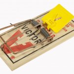 капканы на крыс