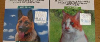 Капли Барс для котов и собак