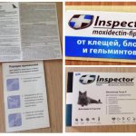 Капли Инспектор для кошек