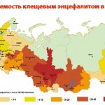 клещевой энцефалит эндемичные районы