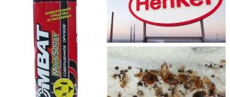 Combat against bedbugs