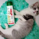 Котенок с зоошампунем