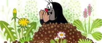 mole digs holes