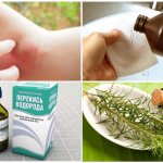 Лечение расчесанного укуса комара