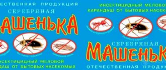Mashenka from bedbugs