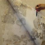 медный купорос и плесень