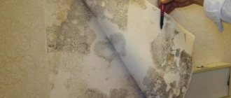 copper sulfate and mold