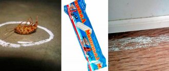 Chalk Mashenka against cockroaches - an effective remedy