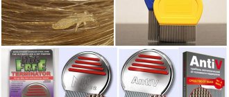 Металлические гребни от вшей