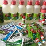 Набор препаратов