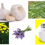 Народные средства