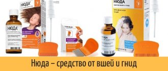 Nyuda - an effective remedy for lice and nits