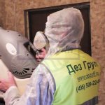 Обработка дома от блох