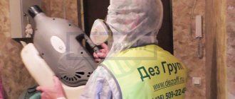 Treating your home for fleas