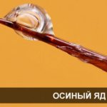 Wasp venom at the end of the stinger