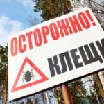 Осторожно клещи