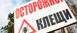 Осторожно клещи