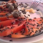 Where do flies come from in an apartment?