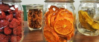 Rules for storing different types of dried fruits
